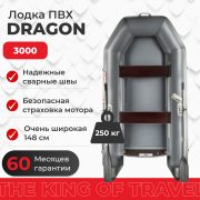 Фото лодки DRAGON 3000